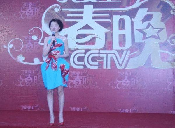 《我要上春晚》