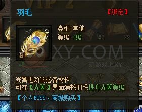 传奇盛世VIP