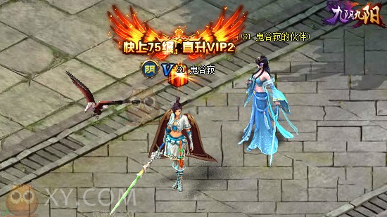 九阴九阳神雕 九阴九阳神雕