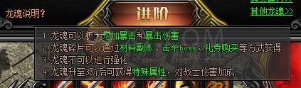 梁山传奇龙魂