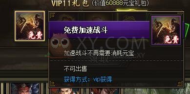 三国群雄传VIP11