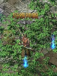 传奇盛世玛雅卷轴