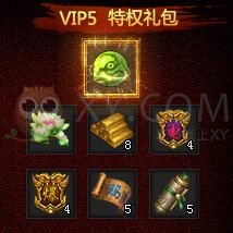 刺沙VIP5