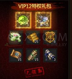 刺沙VIP12
